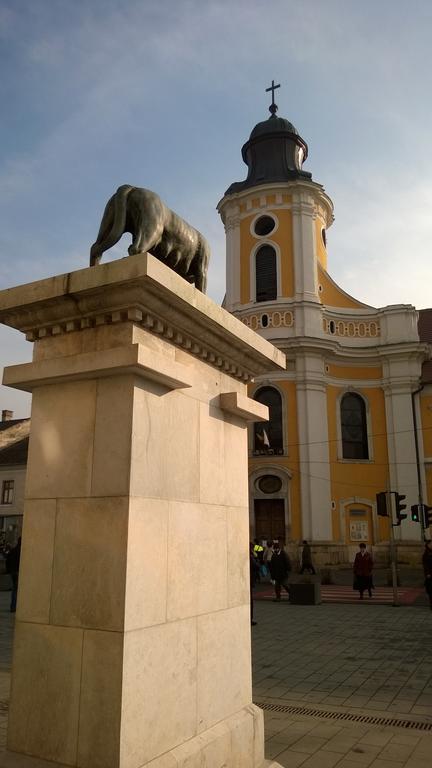 M Central Apartments Cluj Napoca Bagian luar foto